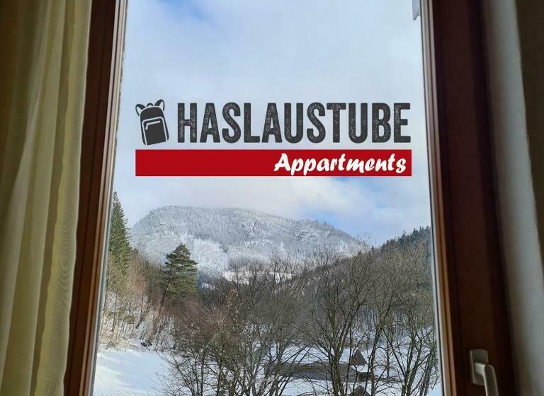 침실 1개 아파트, Haslaustube