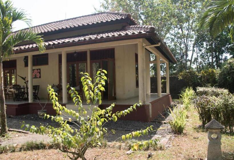 اتاق استاندارد با چشم‌انداز باغ, Guesthouse Rumah Senang