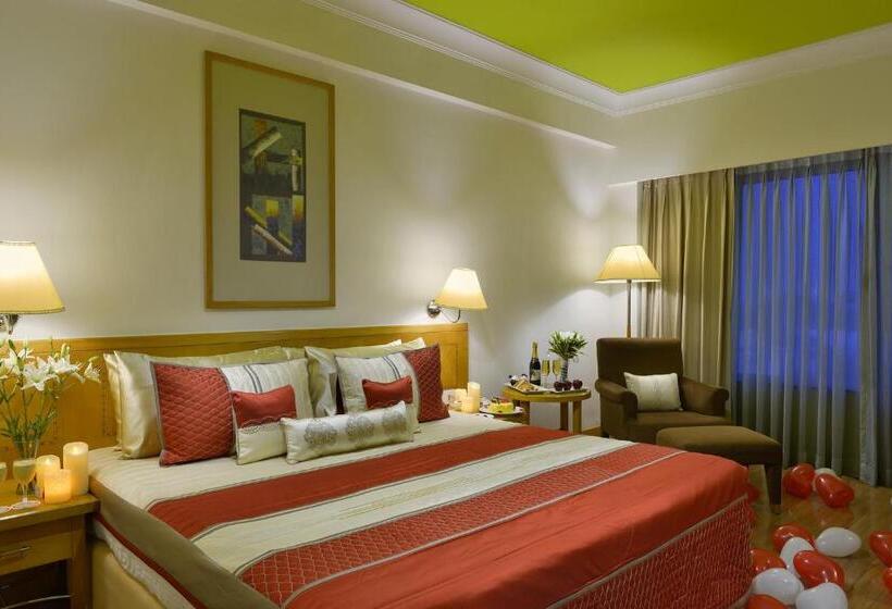 اتاق سوپریور با چشم‌انداز شهر, Vivanta Vadodara