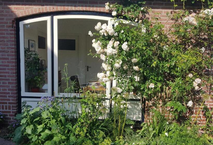اتاق استاندارد, B&b Oostrik