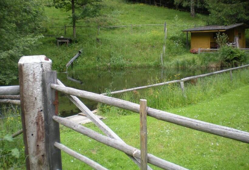 Апартаменты 2 Спальни с Террасой, Schlintl Hof