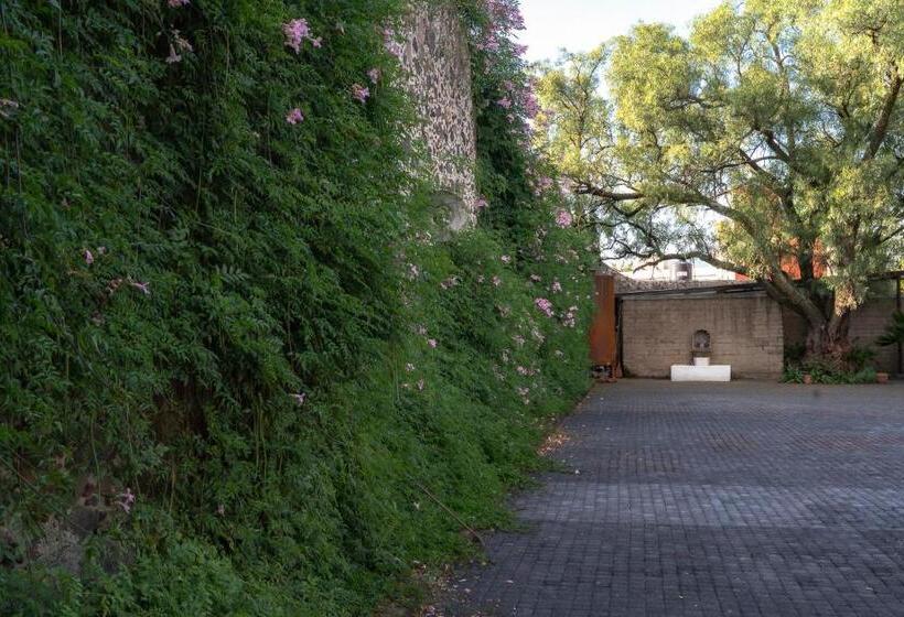 اتاق استاندارد, Posada Colibri   Hotel & Spa