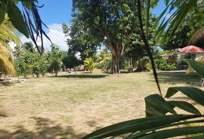 آپارتمان 1 خوابه با تراس, Village Le Pre