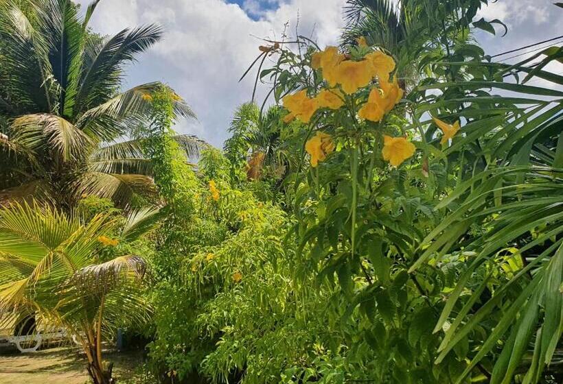 آپارتمان 1 خوابه با تراس, Village Le Pre