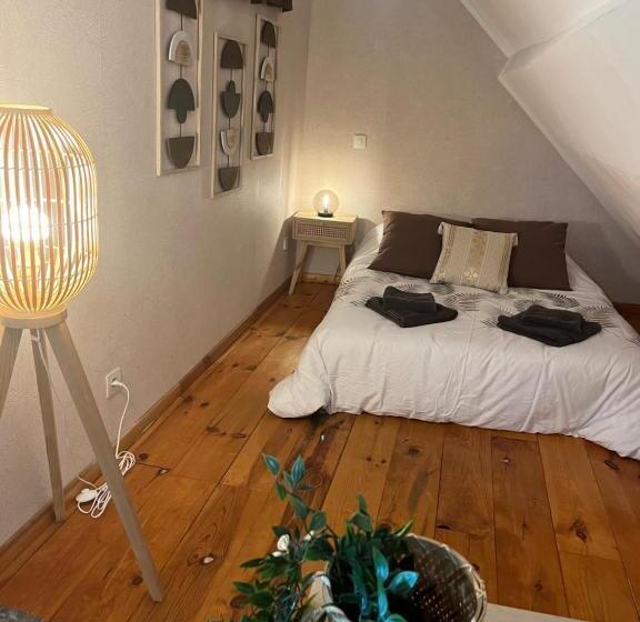 استودیوی استاندارد, Couette Et Tartine