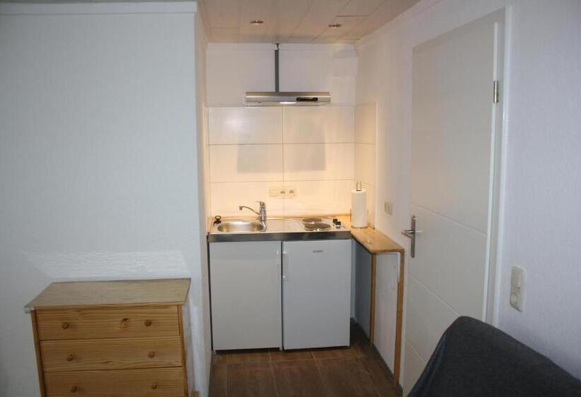 آپارتمان 1 خوابه, Ferienwohnung Ziemons