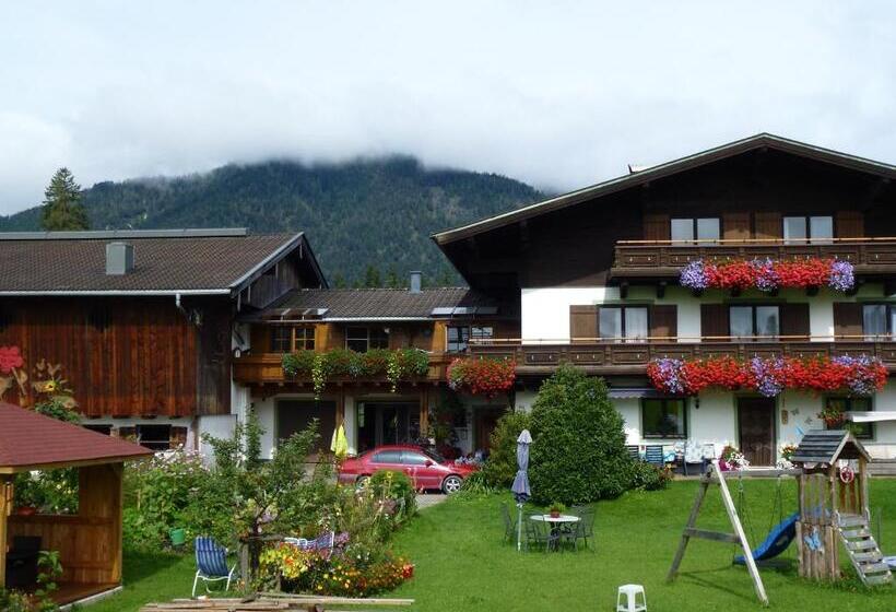 آپارتمان 1 خوابه با چشم‌انداز, Wiesingbauer