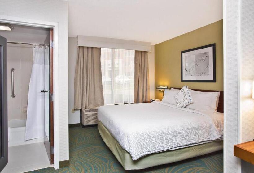 Люкс Кровать Кинг, Springhill Suites By Marriott Chicago Naperville Warrenville