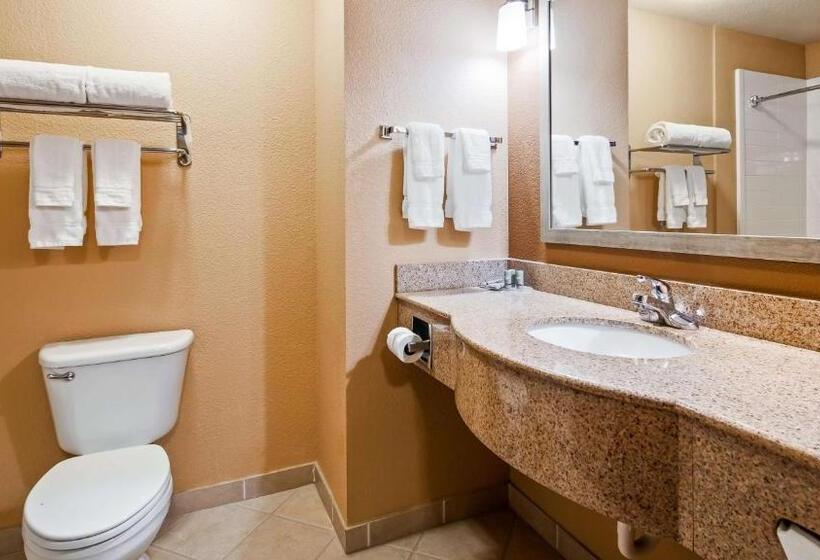 Стандартный Номер Кровать Кинг, Best Western Granbury Inn & Suites