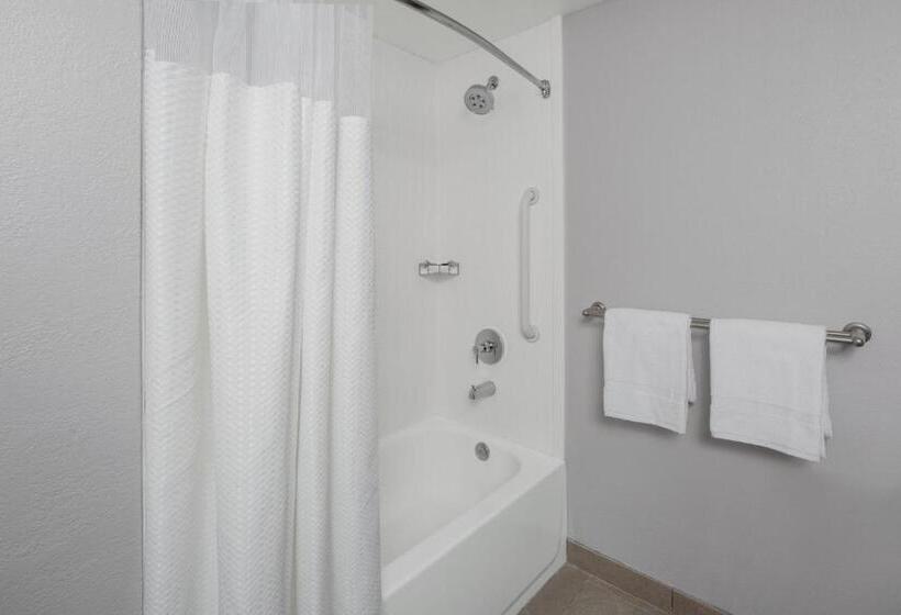 Стандартный Номер Кровать Кинг, Courtyard Tampa Oldsmar