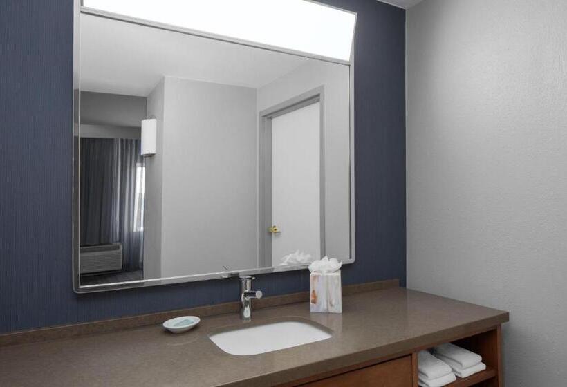 Номер Стандарт, Courtyard Tampa Oldsmar