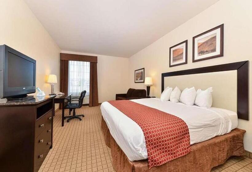 استودیو استاندارد با تخت کینگ, Express Inn & Suites
