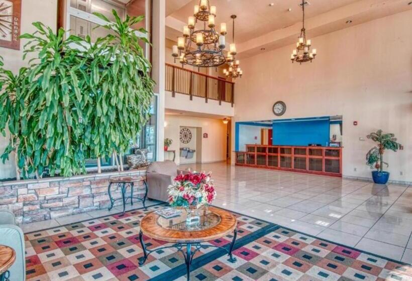 استودیو استاندارد با تخت کینگ, Express Inn & Suites