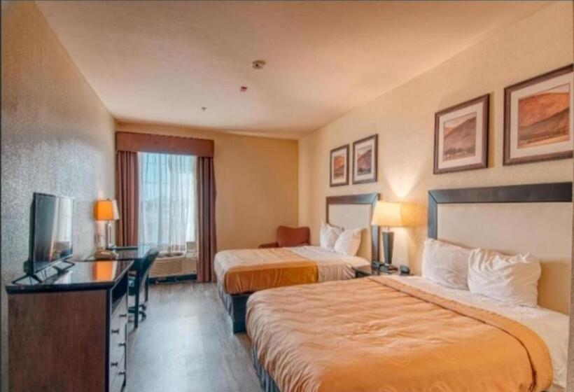 اتاق استاندارد, Express Inn & Suites