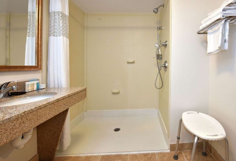 适合残疾人使用的标准间, Hampton Inn Alexander City