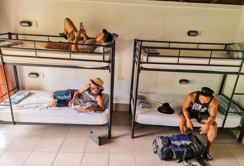 공동 객실, Nomads Airlie Beach