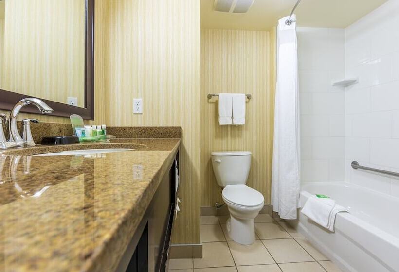 スイート, Holiday Inn Hotel And Suites Kamloops, An Ihg