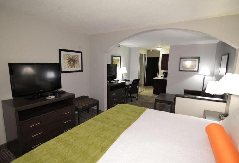 스위트 킹사이즈 침대, Best Western Plus Liberal Hotel & Suites