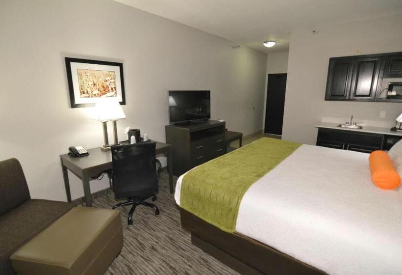스탠다드 룸 킹사이즈 침대, Best Western Plus Liberal Hotel & Suites