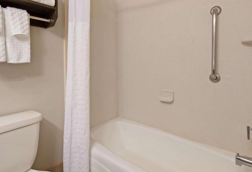 장애인을 위한 스탠다드 룸, Best Western Plus Liberal Hotel & Suites