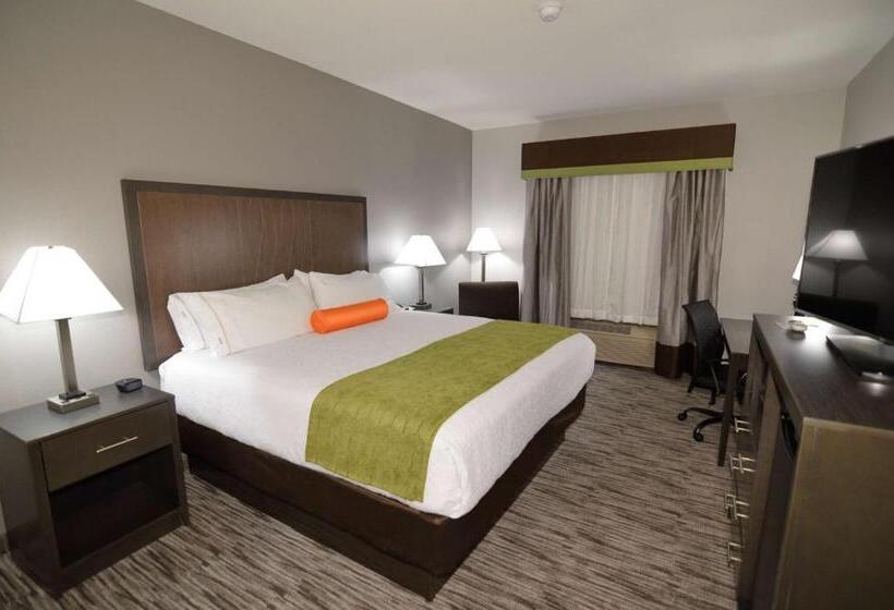 스탠다드 룸 킹사이즈 침대, Best Western Plus Liberal Hotel & Suites