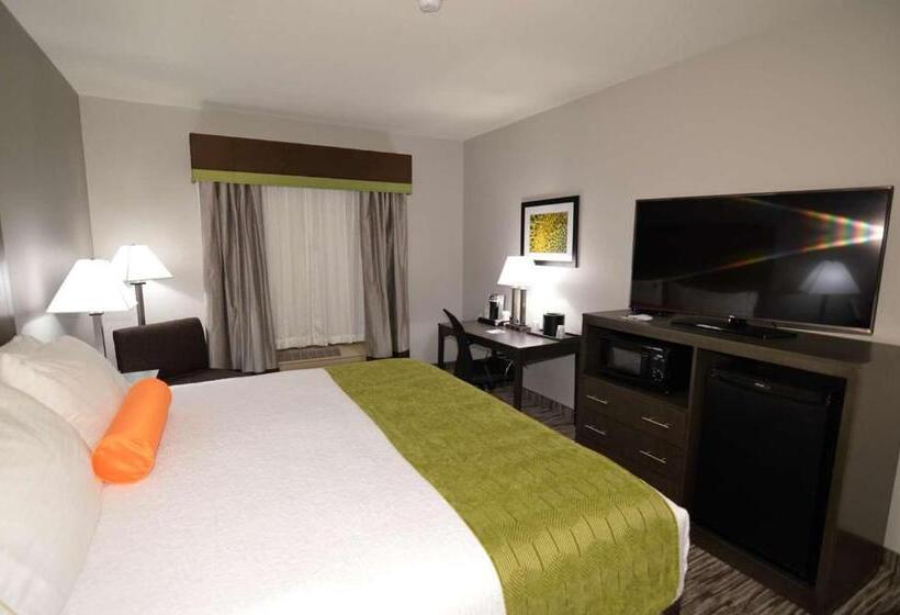스탠다드 룸 킹사이즈 침대, Best Western Plus Liberal Hotel & Suites