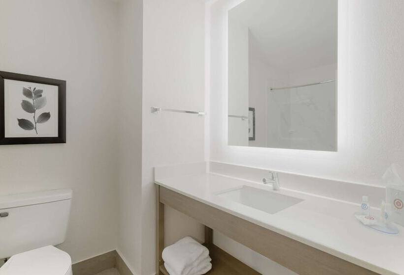 Люкс, Comfort Inn & Suites Rustoneast