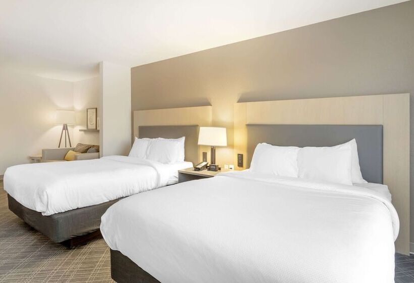 Люкс, Comfort Inn & Suites Rustoneast