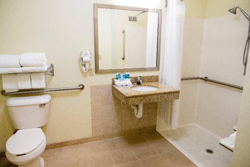 Quarto Executivo Cama King, Holiday Inn Express Hotel & Suites Chanhassen By Ihg