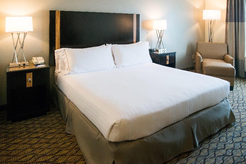 Стандартный Номер Кровать Кинг, Holiday Inn Express Hotel & Suites Chanhassen By Ihg