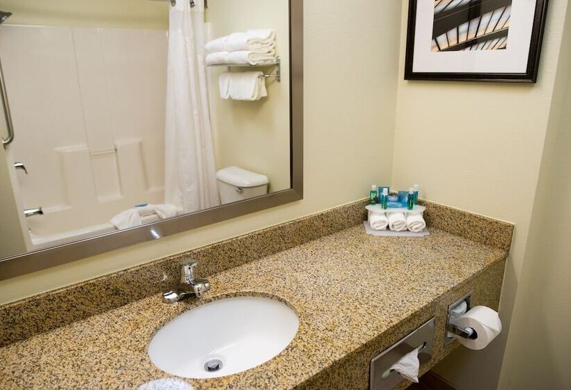 Люкс, Holiday Inn Express Hotel & Suites Chanhassen By Ihg