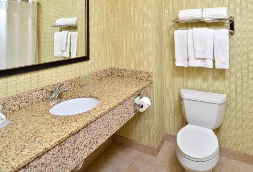 带大床的套房, Holiday Inn Express Hotel & Suites Charlotte, An Ihg
