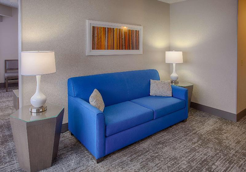 Номер Стандарт Адаптированный для Инвалидов, Holiday Inn Express Hotel & Suites Charlotte, An Ihg