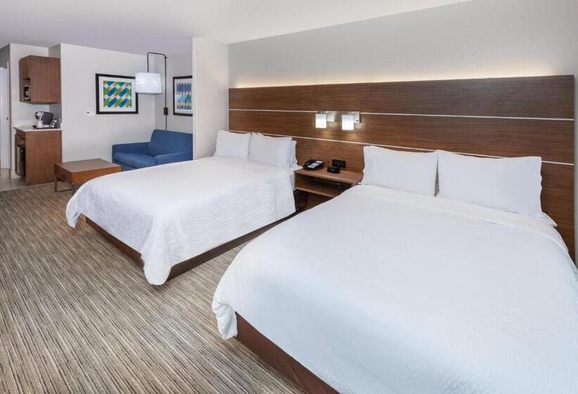 스위트, Holiday Inn Express Hotel & Suites Lafayette South, An Ihg