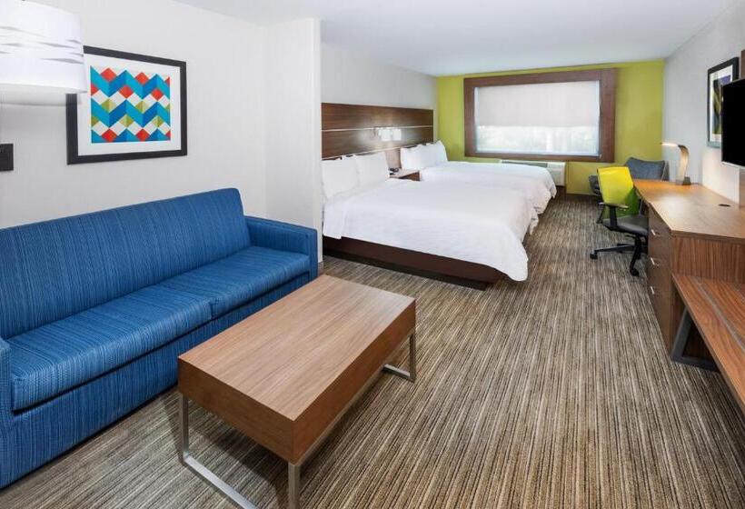 Люкс, Holiday Inn Express Hotel & Suites Lafayette South, An Ihg