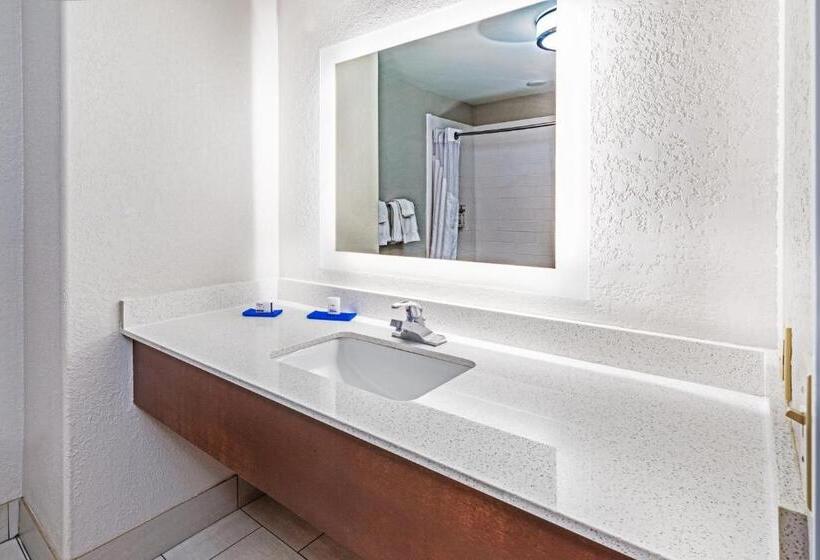 스위트, Holiday Inn Express Hotel & Suites Lafayette South, An Ihg