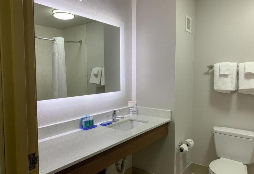 اتاق استاندارد با تخت بزرگ, Holiday Inn Express & Suites Lexington Downtown Area Keeneland, An Ihg