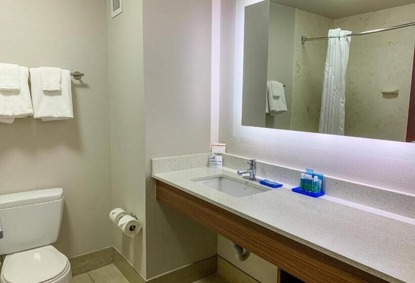سوییت, Holiday Inn Express & Suites Lexington Downtown Area Keeneland, An Ihg
