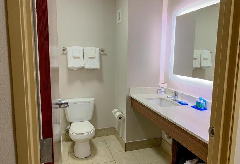 اتاق استاندارد با تخت بزرگ برای معلولان, Holiday Inn Express & Suites Lexington Downtown Area Keeneland, An Ihg