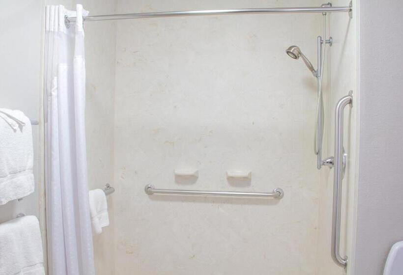 اتاق استاندارد با تخت بزرگ برای معلولان, Holiday Inn Express & Suites Lexington Downtown Area Keeneland, An Ihg