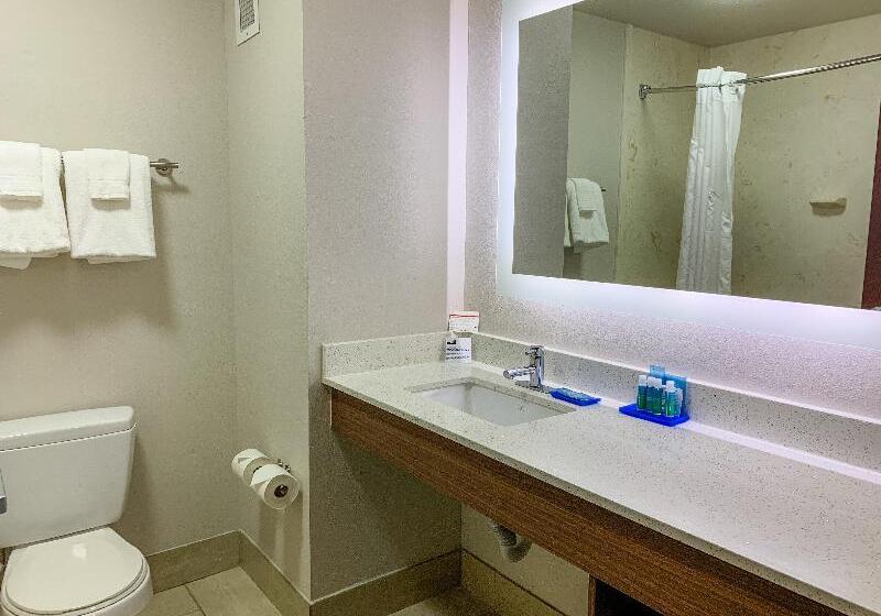 سوئیت اجرایی با تخت کینگ, Holiday Inn Express & Suites Lexington Downtown Area Keeneland, An Ihg