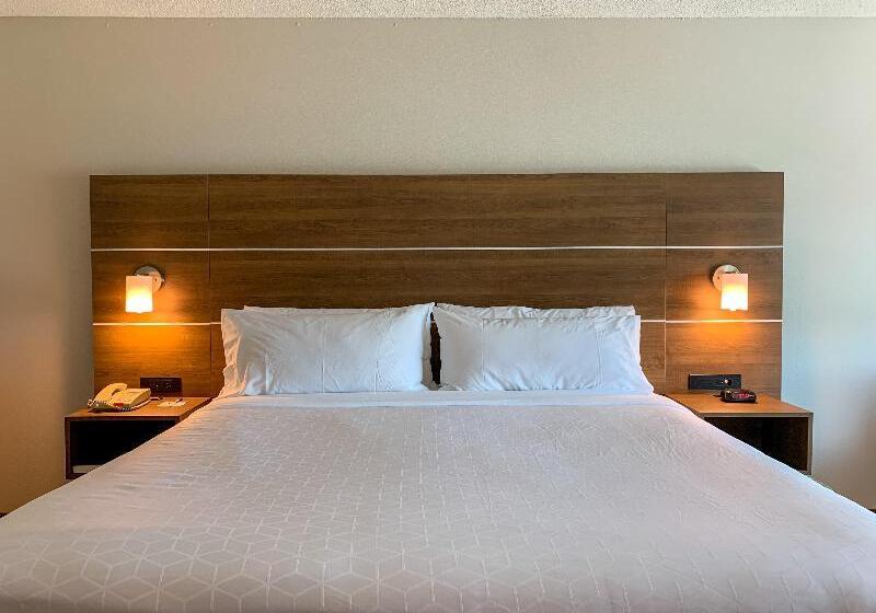 سوئیت اجرایی با تخت کینگ, Holiday Inn Express & Suites Lexington Downtown Area Keeneland, An Ihg