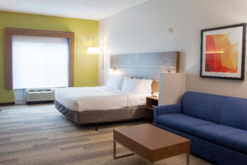 سوئیت اجرایی با تخت کینگ, Holiday Inn Express & Suites Lexington Downtown Area Keeneland, An Ihg