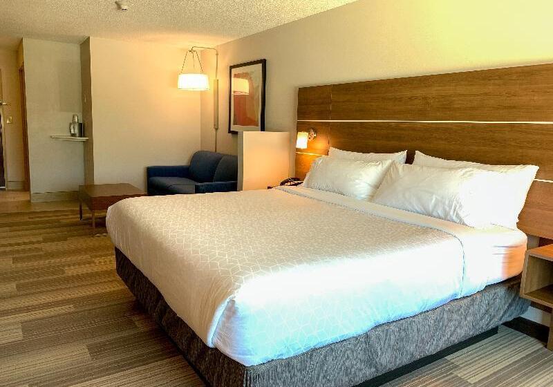 سوئیت اجرایی با تخت کینگ, Holiday Inn Express & Suites Lexington Downtown Area Keeneland, An Ihg
