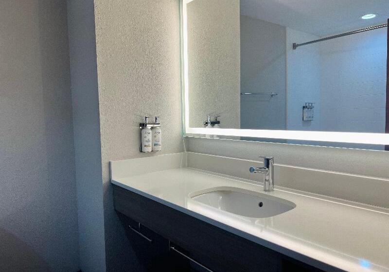 Стандартный Номер Кровать Кинг, Holiday Inn Express & Suites Sebring, An Ihg