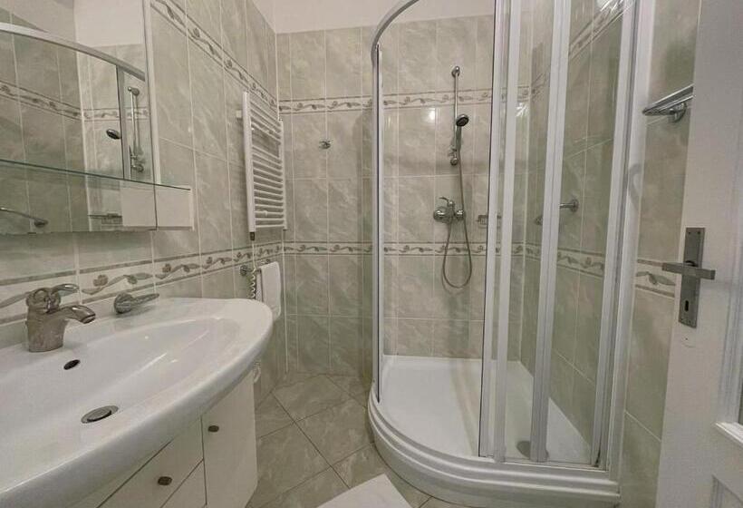 带1个卧室的公寓, Sport Hotel Gejzirpark