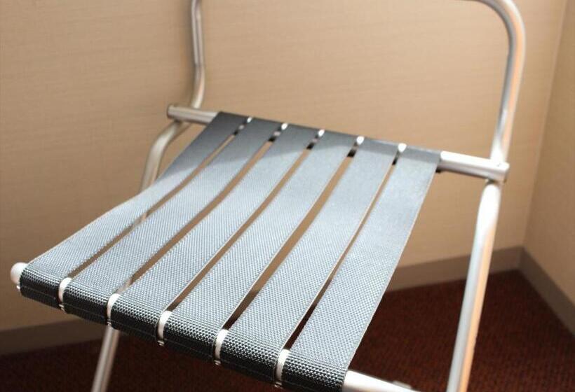 스탠다드 룸, Hakata Green Hotel Tenjin