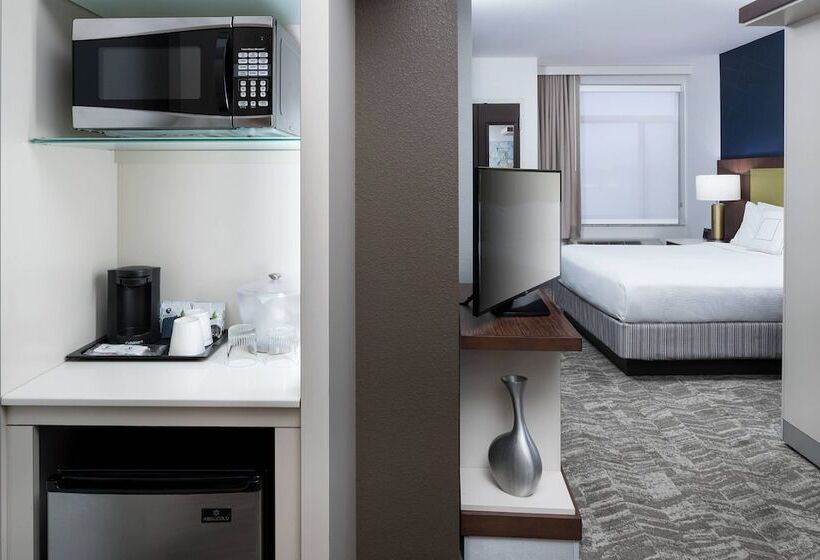 套房, Springhill Suites Alexandria Southwest