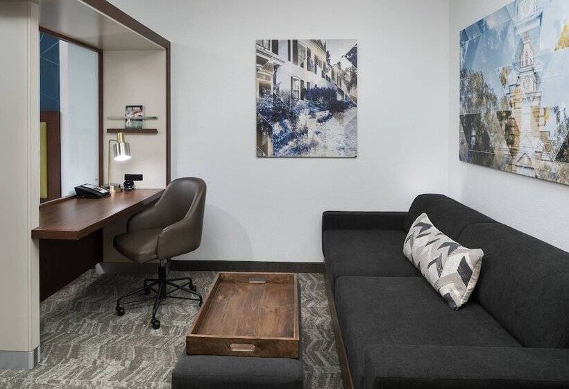 套房, Springhill Suites Alexandria Southwest