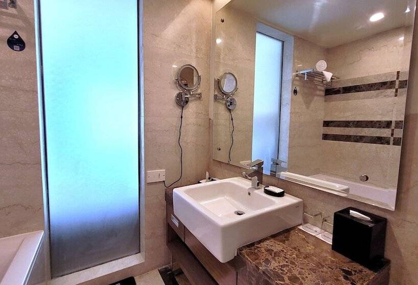 Полулюкс, Radisson Blu Hotel, Greater Noida